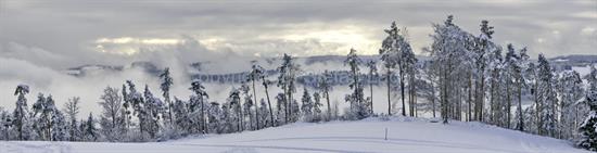 <a href=http://lago-fotoart.printart.ch target=_blank><img style=border-width:0px alt=Bild kaufen... align=middle width=18 height=18 src=/dotnetnuke/Portals/7/ContentImages/shop_icon.png/></a>
Winterfeuer
