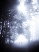 Liebespaar im Wald
