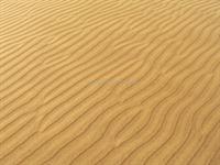 Sandmuster 8