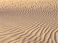 Sandmuster 5