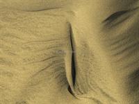 Yoni in the sand