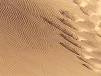 Sandmuster 2