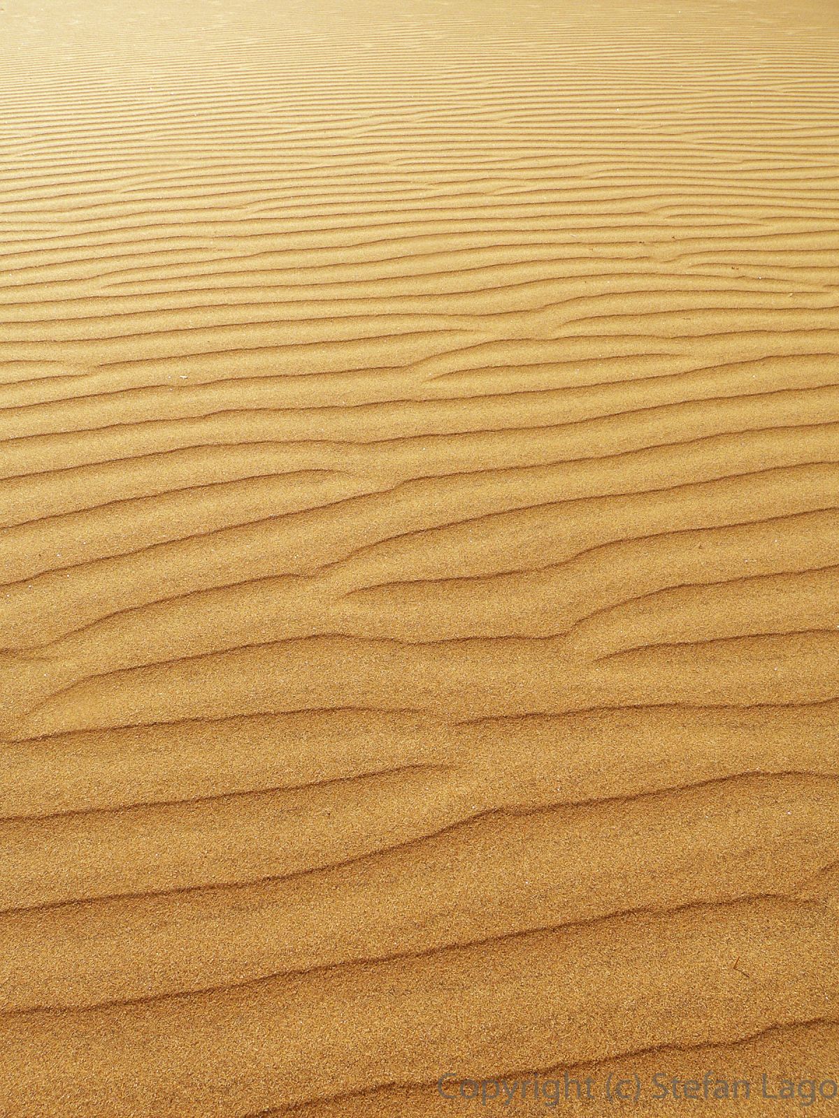 Windformed patterns in the dunes of Maspalomas, Gran Canaria.(1920 x 2560 px)