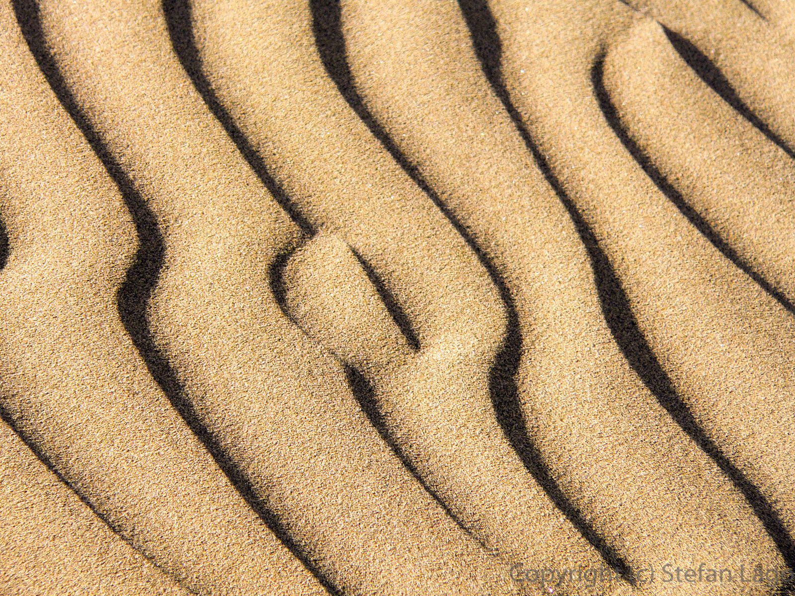 Windformed patterns in the dunes of Maspalomas, Gran Canaria.(2560 x 1920 px)