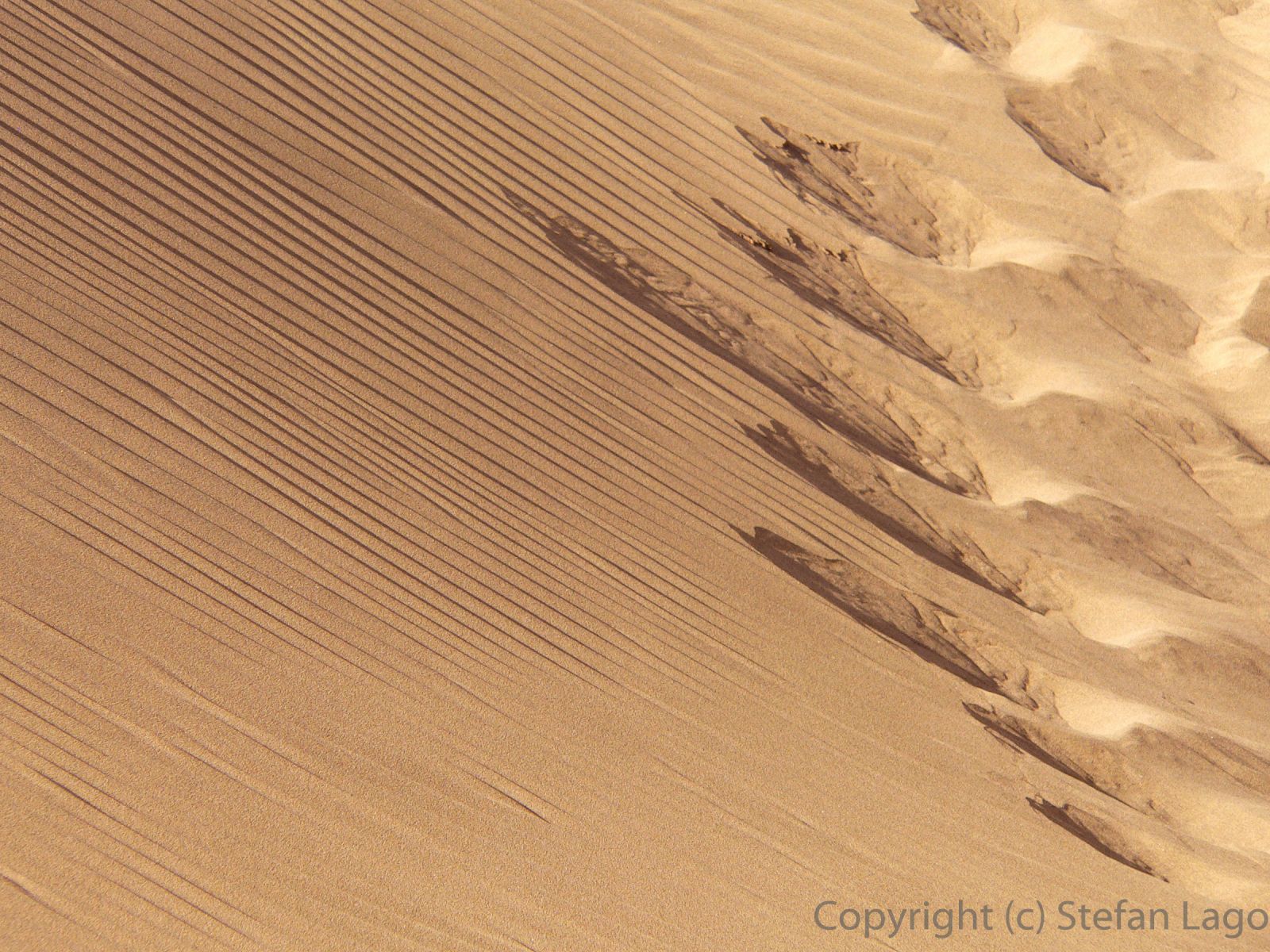 Detailaufnahme von windgeformten Mustern in den Sanddünen von Playa del Ingles/Maspalomas auf Gran Canaria.(2560 x 1920 px)