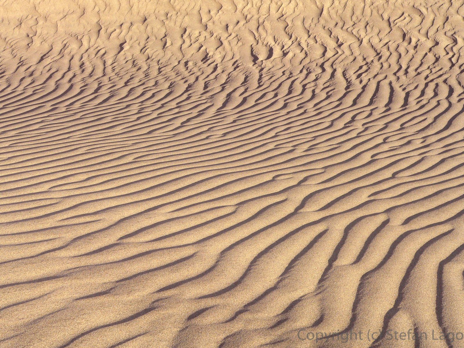 Windformed patterns in the dunes of Maspalomas, Gran Canaria.(2560 x 1920 px)